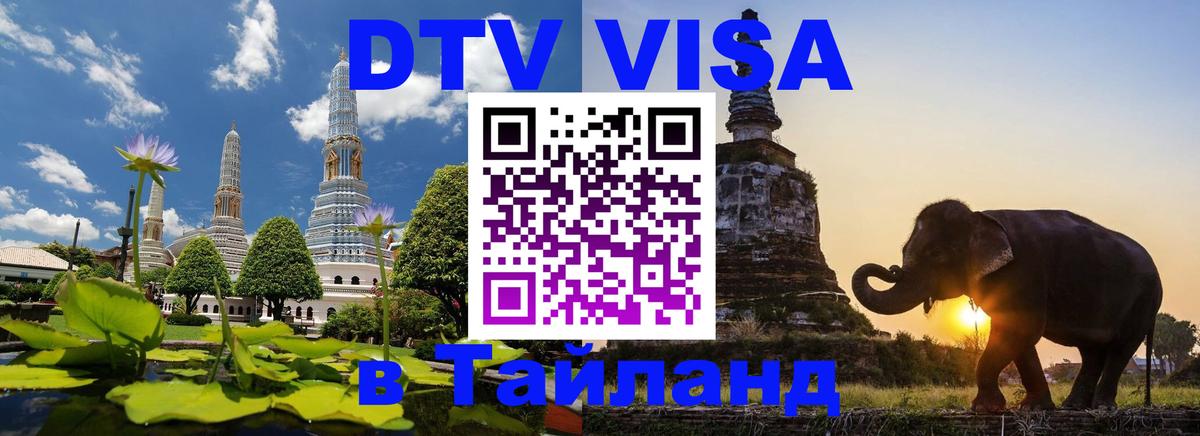 Оформление DTV визы под ключ: стоимость и тарифы, только загранпаспорт - 19.11.2025 